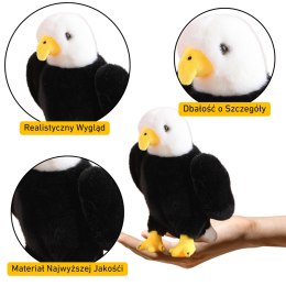 LEAN Toys Pluszowy Orzeł Ptak Pluszak Maskotka Przytulanka Czarno Biały 25cm