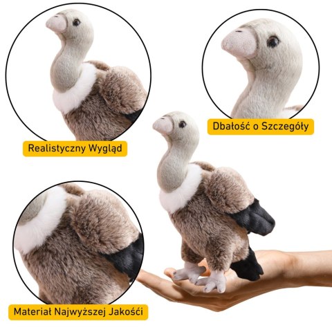 LEAN Toys Pluszowy Sęp Ptak Pluszak Maskotka Przytulanka 25cm LEAN Toys Pluszowy Sęp Ptak Pluszak Maskotka Przytulanka 25cm