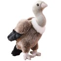 LEAN Toys Pluszowy Sęp Ptak Pluszak Maskotka Przytulanka 25cm