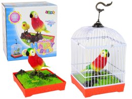 LEAN Toys Śpiewająca Kolorowa Papuga Z Klatką