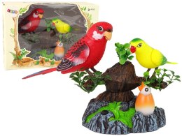 LEAN Toys Śpiewające Ruchome Papużki Drzewo Kolorowe