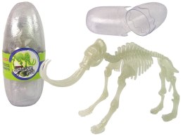 LEAN Toys Świecący W Ciemności Szkielet 3D Dinozaury Mamut w Jajku