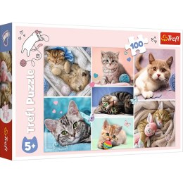 Trefl Puzzle Puzzle - 100 - W kocim świecie - Trefl 16420