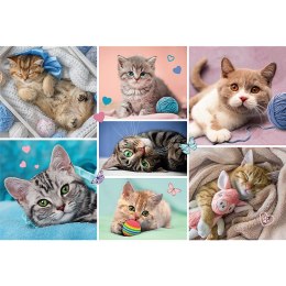 Trefl Puzzle Puzzle - 100 - W kocim świecie - Trefl 16420