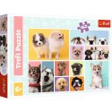 Trefl Puzzle Puzzle - 160 - Psia przyjaźń - Trefl 15412