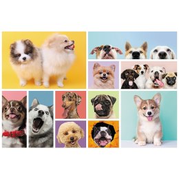 Trefl Puzzle Puzzle - 160 - Psia przyjaźń - Trefl 15412