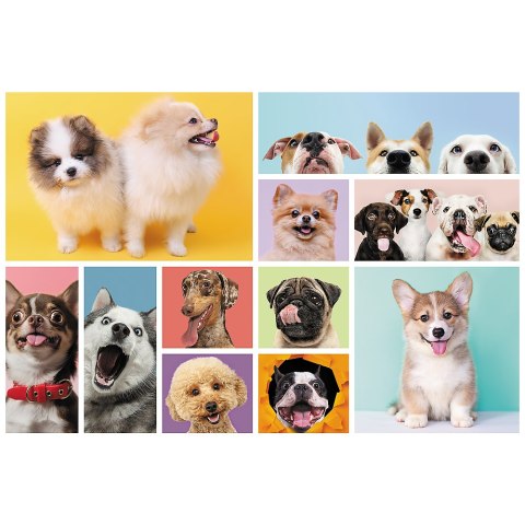 Trefl Puzzle Puzzle - 160 - Psia przyjaźń - Trefl 15412 Trefl Puzzle Puzzle - 160 - Psia przyjaźń - Trefl 15412