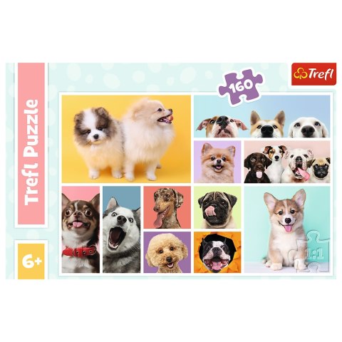 Trefl Puzzle Puzzle - 160 - Psia przyjaźń - Trefl 15412 Trefl Puzzle Puzzle - 160 - Psia przyjaźń - Trefl 15412