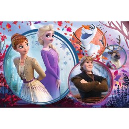 Trefl Puzzle Puzzle - 160 - Siostrzana przygoda - Disney Frozen Trefl 15374