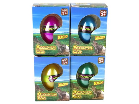 LEAN TOYS Rosnące Jajo Aligatora Krokodyla 6cm LEAN TOYS Rosnące Jajo Aligatora Krokodyla 6cm