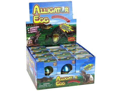 LEAN TOYS Rosnące Jajo Aligatora Krokodyla 6cm LEAN TOYS Rosnące Jajo Aligatora Krokodyla 6cm