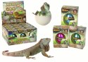 LEAN TOYS Wykluwające się Magiczne Jajko Jaszczurka Rosnące 6 cm