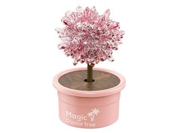 LEAN Toys Magiczne Drzewko Hodowla Kryształów Doświadczenia Różowe
