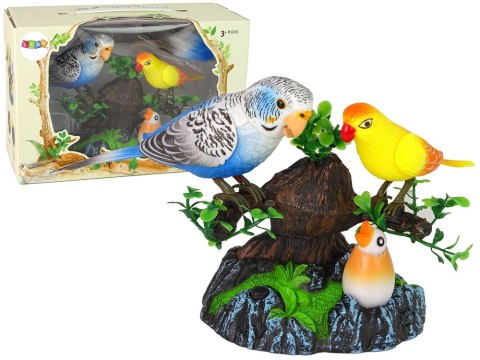 LEAN Toys Śpiewające Ruchome Papużki Drzewko Kolorowe LEAN Toys Śpiewające Ruchome Papużki Drzewko Kolorowe