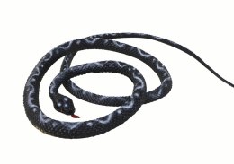 LEAN Toys Sztuczny Gumowy Wąż Koralowy Czarny PVC