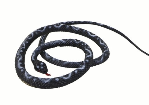LEAN Toys Sztuczny Gumowy Wąż Koralowy Czarny PVC LEAN Toys Sztuczny Gumowy Wąż Koralowy Czarny PVC