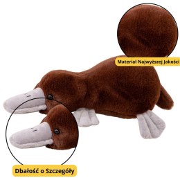 LEAN Toys Maskotka Pluszowa Przytulanka Dziobak Brązowy 32cm