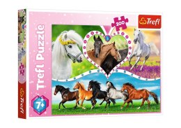 Trefl Puzzle Puzzle - 200 - Piękne konie / Trefl 13248