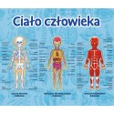 Trefl Gry Gra Edukacyjna Ciało człowieka/ Mistrz Wiedzy Trefl 01957