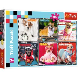 Trefl Puzzle Puzzle - 200 - Wesołe psy - Trefl 13279