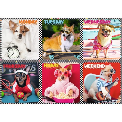 Trefl Puzzle Puzzle - 200 - Wesołe psy - Trefl 13279 Trefl Puzzle Puzzle - 200 - Wesołe psy - Trefl 13279