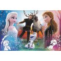 Trefl Puzzle Puzzle - 300 - Magiczny czas - Disney Frozen 2 23006