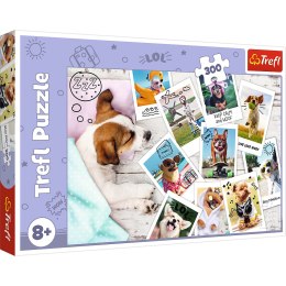 Trefl Puzzle Puzzle - 