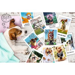 Trefl Puzzle Puzzle - 