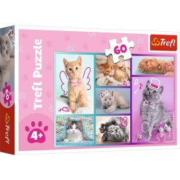 Trefl Puzzle Puzzle - 