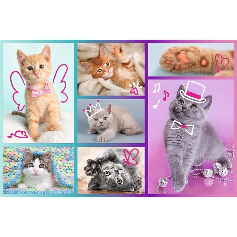 Trefl Puzzle Puzzle - "60"- Słodkie kociaki / Trefl 17373 Trefl Puzzle Puzzle - "60"- Słodkie kociaki / Trefl 17373
