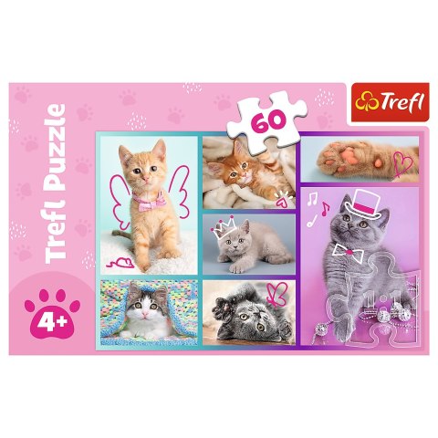 Trefl Puzzle Puzzle - "60"- Słodkie kociaki / Trefl 17373 Trefl Puzzle Puzzle - "60"- Słodkie kociaki / Trefl 17373