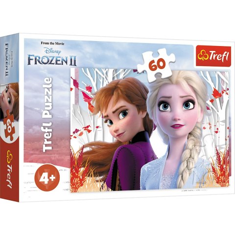 Trefl Puzzle Puzzle - "60" - Zaczarowany świat Anny i Elsy Trefl 17333 Trefl Puzzle Puzzle - "60" - Zaczarowany świat Anny i Elsy Trefl 17333