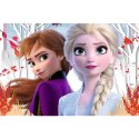Trefl Puzzle Puzzle - "60" - Zaczarowany świat Anny i Elsy Trefl 17333