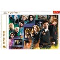 Trefl Puzzle Puzzle Harry Potter 1000 el. Świat czarodziejów 10668