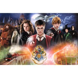Trefl Puzzle Puzzle Harry Potter 300 el. Tajemniczy Harry Potter 23001