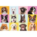 Trefl Puzzle Puzzles - "60" - Słodkie psiaki / Trefl 17374