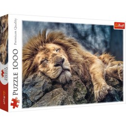 Trefl Puzzle Puzzle - 1000 - Śpiący lew / 500 px 10447