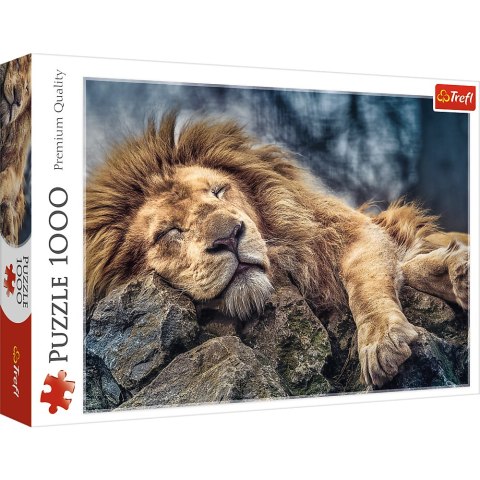 Trefl Puzzle Puzzle - 1000 - Śpiący lew / 500 px 10447 Trefl Puzzle Puzzle - 1000 - Śpiący lew / 500 px 10447