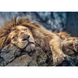 Trefl Puzzle Puzzle - 1000 - Śpiący lew / 500 px 10447