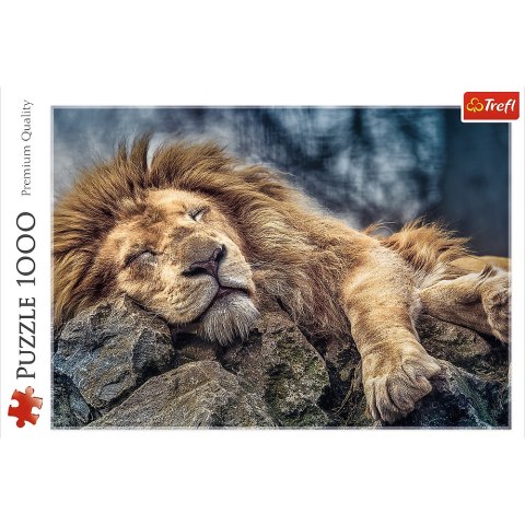 Trefl Puzzle Puzzle - 1000 - Śpiący lew / 500 px 10447 Trefl Puzzle Puzzle - 1000 - Śpiący lew / 500 px 10447