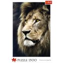 Trefl Puzzle Puzzle - 1500 - Portret lwa / 500 px 26139