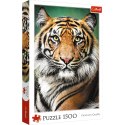 Trefl Puzzle Puzzle - "1500" - Portret tygrysa Trefl 26204