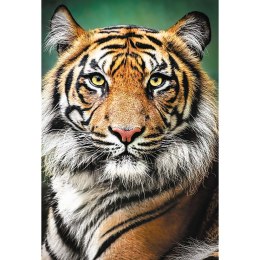 Trefl Puzzle Puzzle - 
