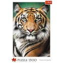 Trefl Puzzle Puzzle - "1500" - Portret tygrysa Trefl 26204