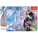 Trefl Puzzle Puzzle - 200 - Magiczny świat sióstr - Disney Frozen Trefl 13265