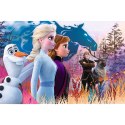 Trefl Puzzle Puzzle - "24 Maxi" - Magiczna wyprawa Frozen 2 Trefl 14298