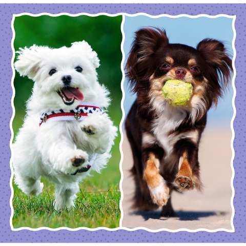 Trefl Puzzle Puzzle - 3w1 - Urocze pieski - Trefl 34854 Trefl Puzzle Puzzle - 3w1 - Urocze pieski - Trefl 34854