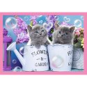 Trefl Puzzle Puzzle - "4w1" - Zabawne kotki Trefl 34396