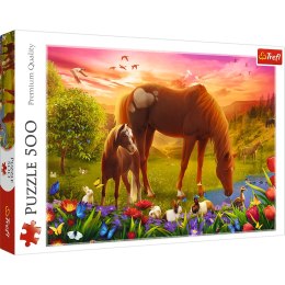 Trefl Puzzle Puzzle - 500 - Konie na łące Trefl 37451