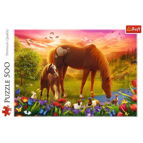 Trefl Puzzle Puzzle - 500 - Konie na łące Trefl 37451 Trefl Puzzle Puzzle - 500 - Konie na łące Trefl 37451